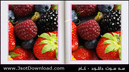 Find 10 Differences PC Game